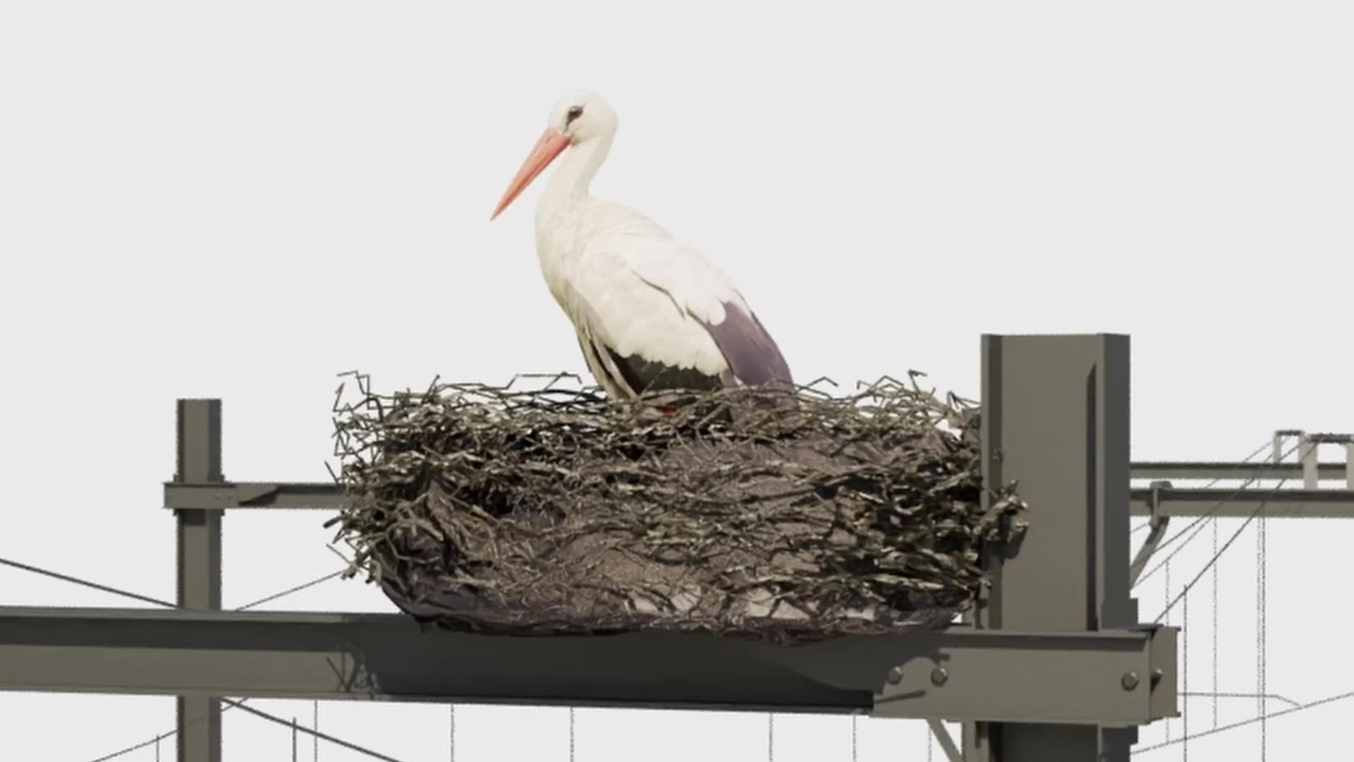 ANA: Anti Nesting Attachment for ProRail: still from the project film